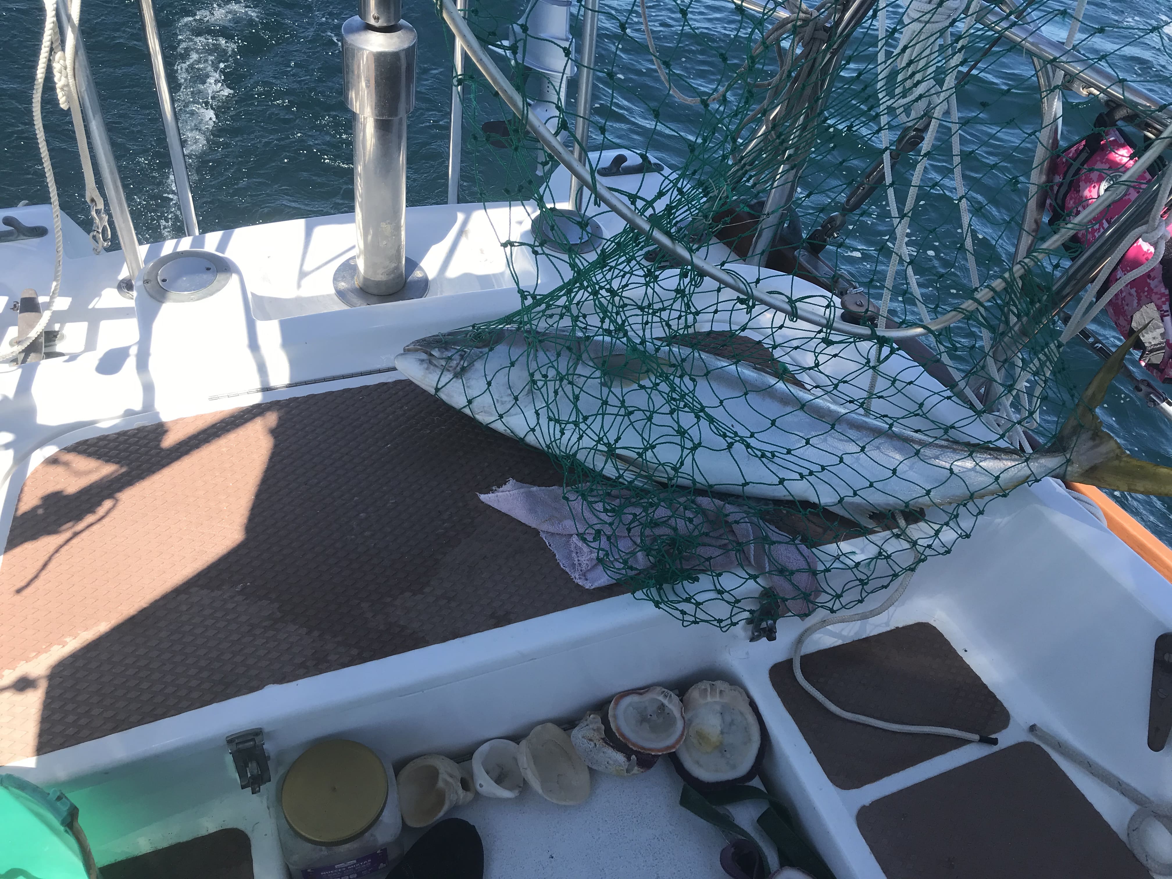 36' Cascade 36 Sloop