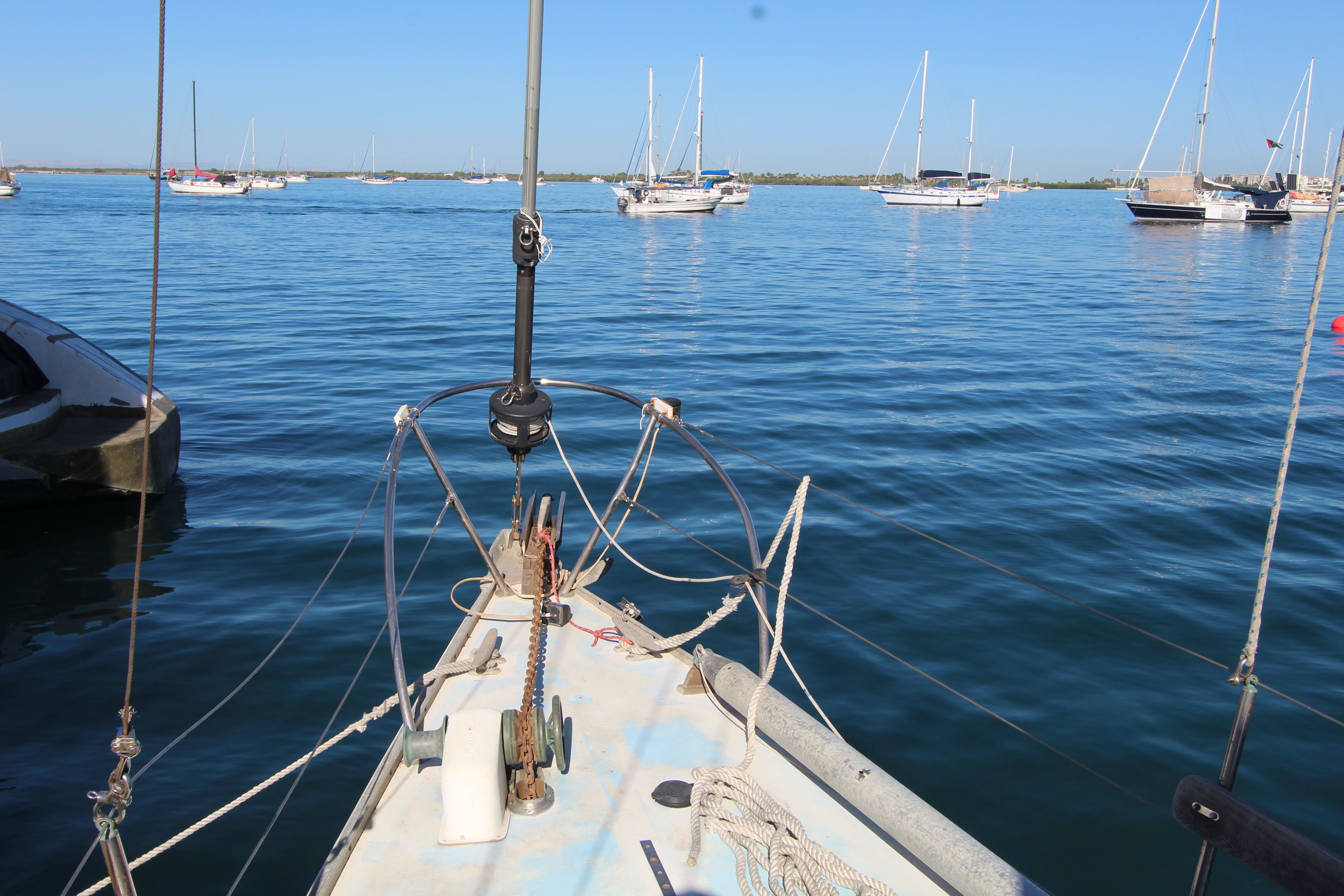41' Newport
